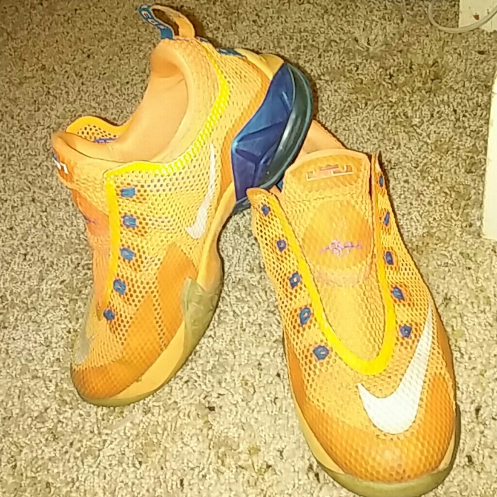 Nike LaBron lowcut